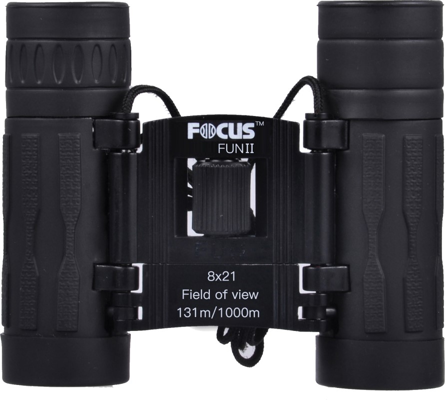 Focus Fun II
